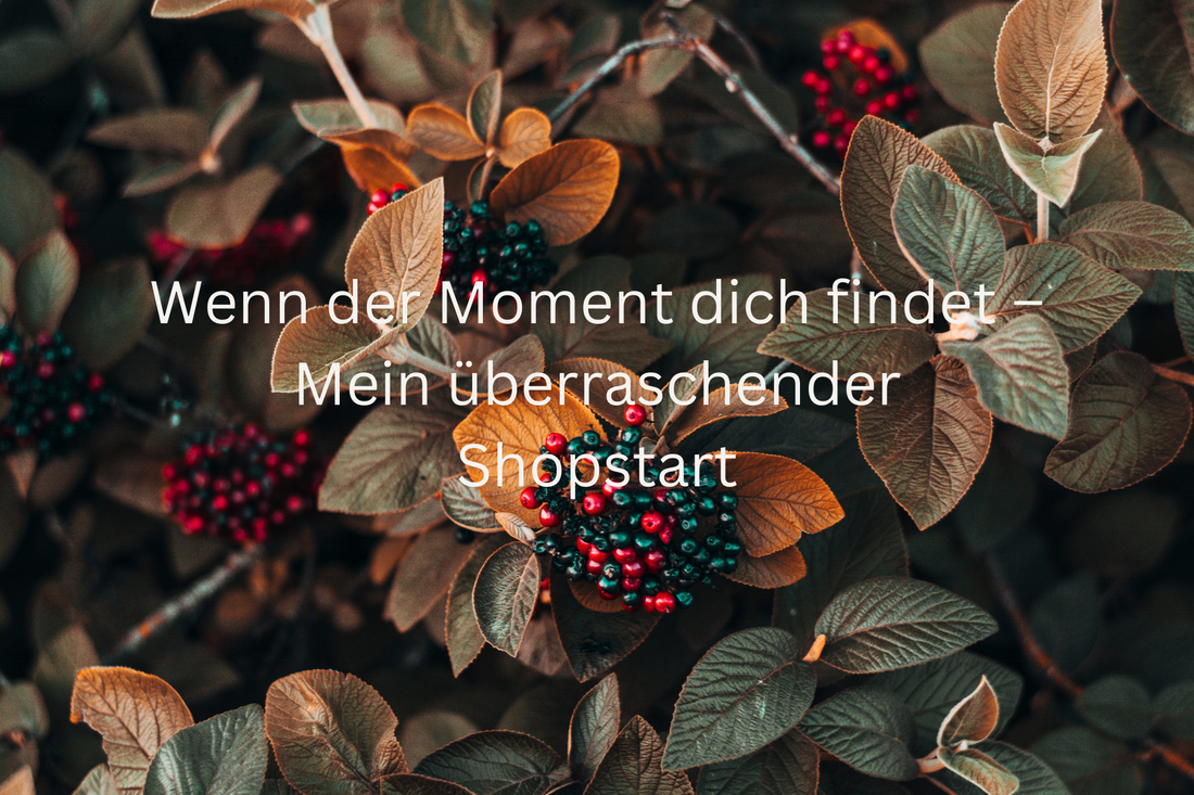 Wenn der Moment dich findet – Mein überraschender Shopstart